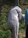 Elefant.jpg