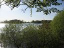 IMG_1896.jpg