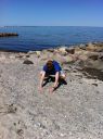 En strand.jpg
