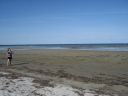Strand.jpg
