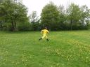 tre træer.jpg
