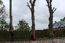 3 træer.jpg