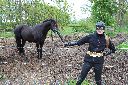 En hest.jpg