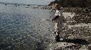 Ostehaps