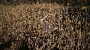DSC01493.jpg