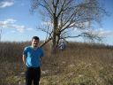 3Trees
