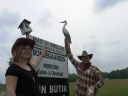 Stork.jpg